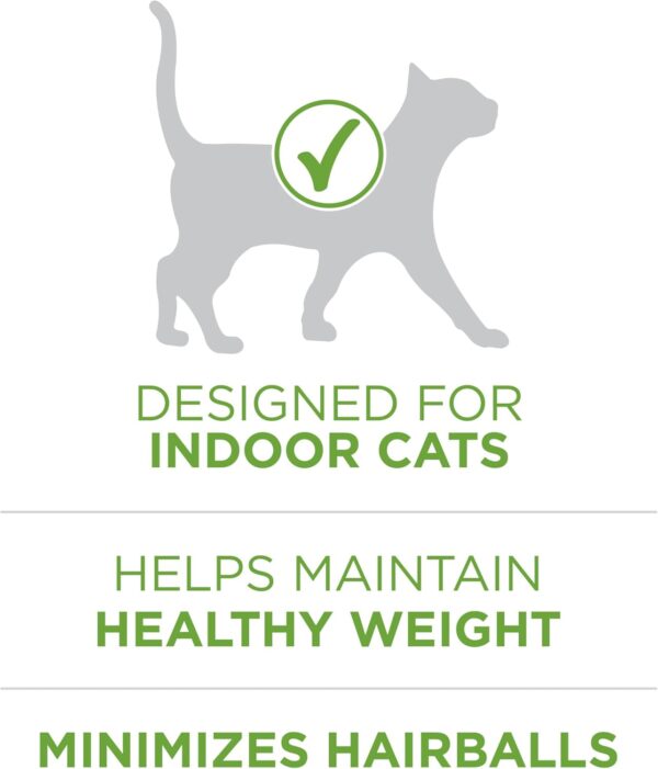 Indoor Dry Cat Food