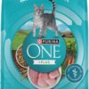Indoor Dry Cat Food