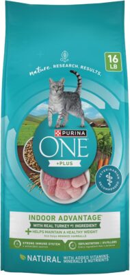 Indoor Dry Cat Food