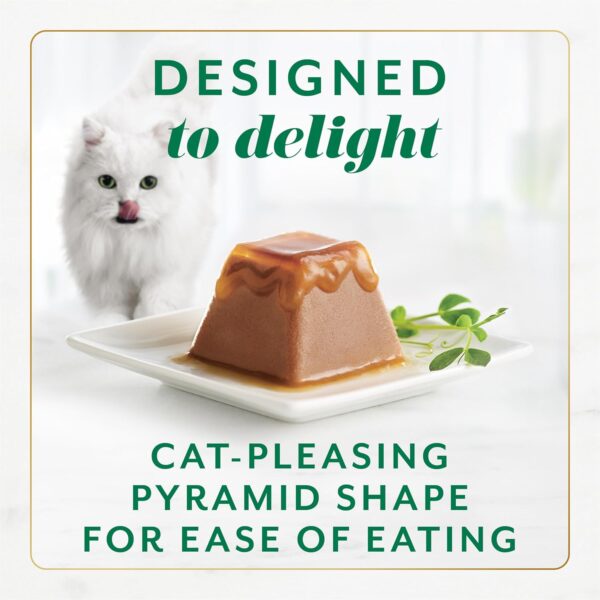Savory Gravy Cat Food