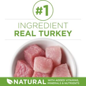 Indoor Dry Cat Food