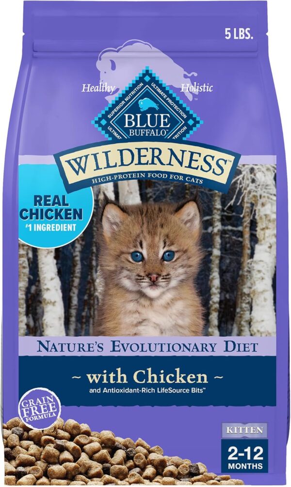 Natural Kitten Dry Cat Food