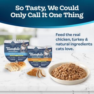 Wet Cat Food in Gravy
