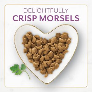 Dry Cat Food with Savory Farm-Raised Chicken and Turkey