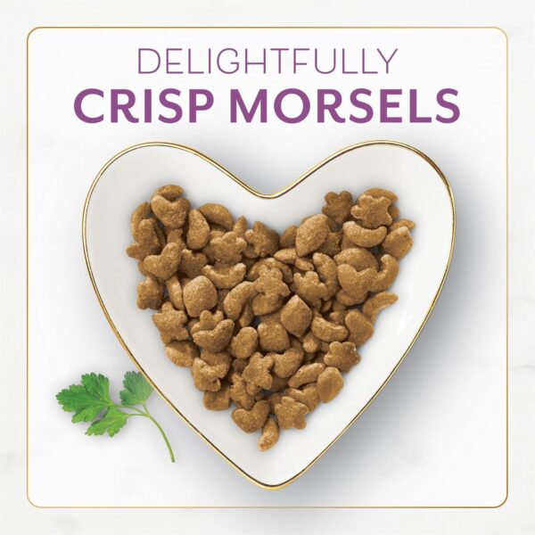 Dry Cat Food with Savory Farm-Raised Chicken and Turkey