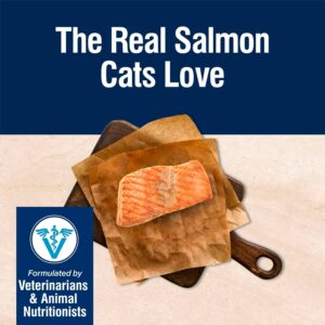 Dry Cat Food