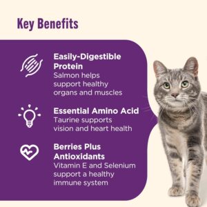 Chickpea and Salmon Dry Cat Food