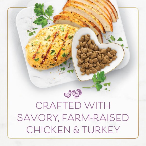 Dry Cat Food with Savory Farm-Raised Chicken and Turkey
