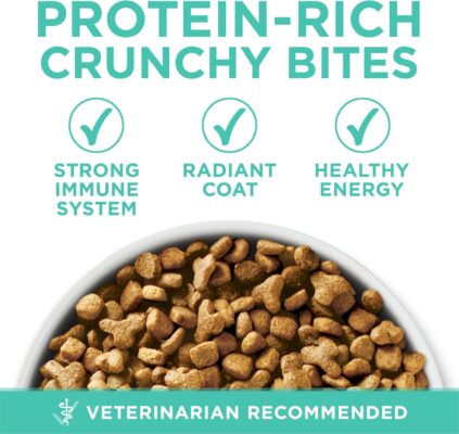 Natural Dry Cat Food